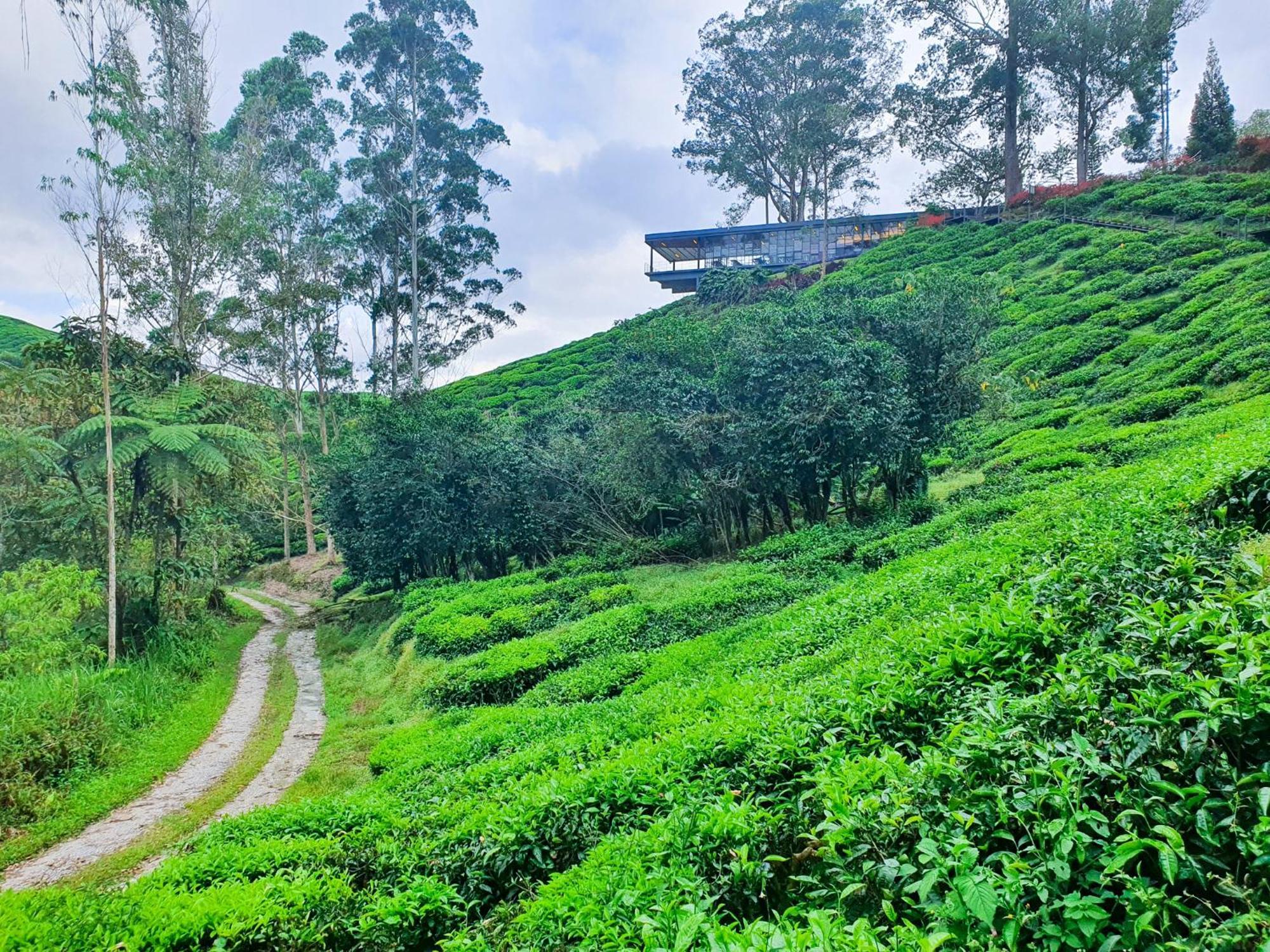 Clocktower 2 Homestay 2-7 Pax At Brinchang, Homestay Cameron Highlands